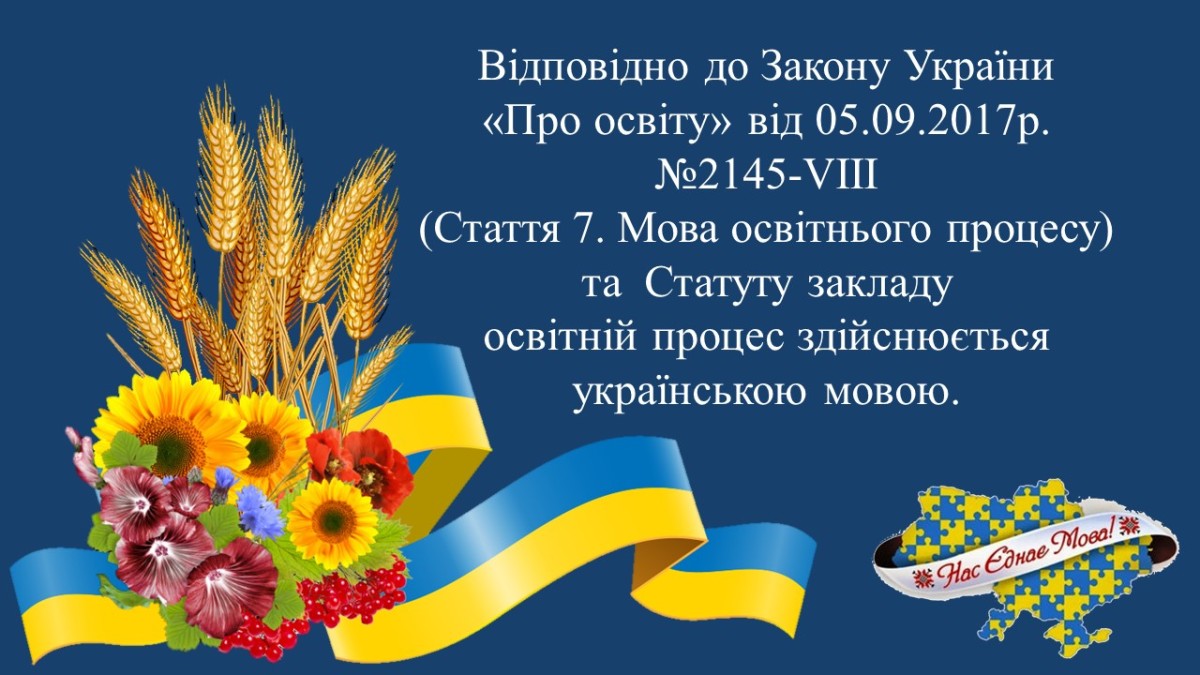 мова освітньго процесу
